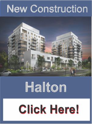 Halton Icon
